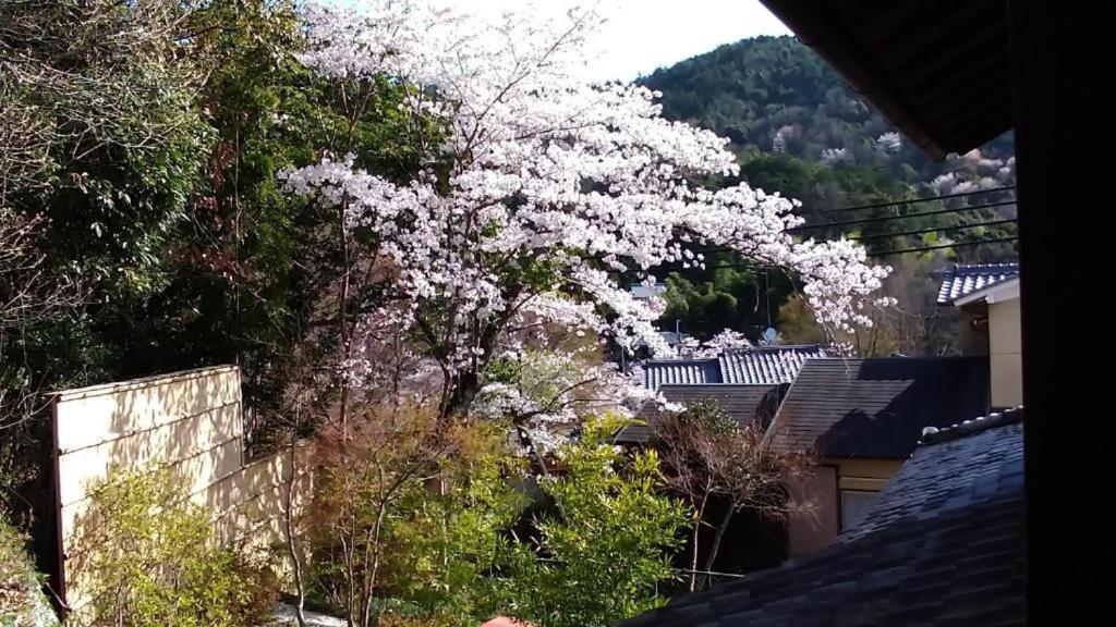 ホテル 金閣荘 京都市 エクステリア 写真